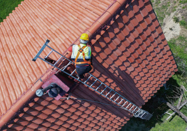 Best Skylights  in Lowell, MI